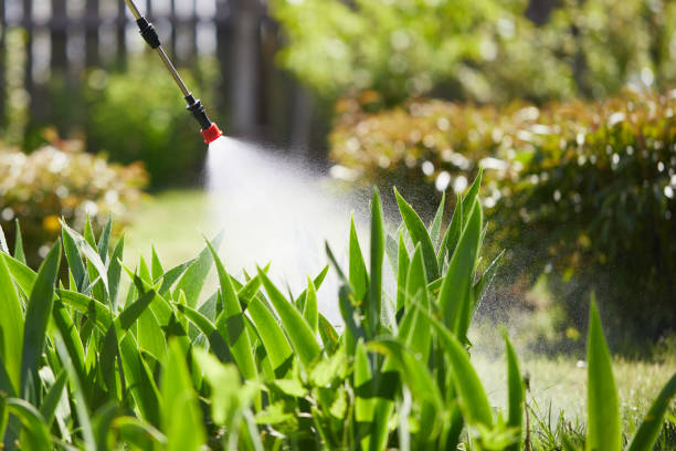 24/7 Emergency Ant Control experts in White Plains, NY